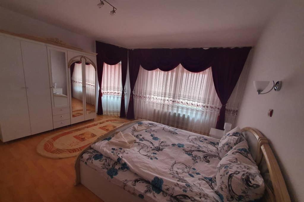 Casa Frizerului - Pets Allowed For Free & Moto Friendly Sebeş Exterior foto